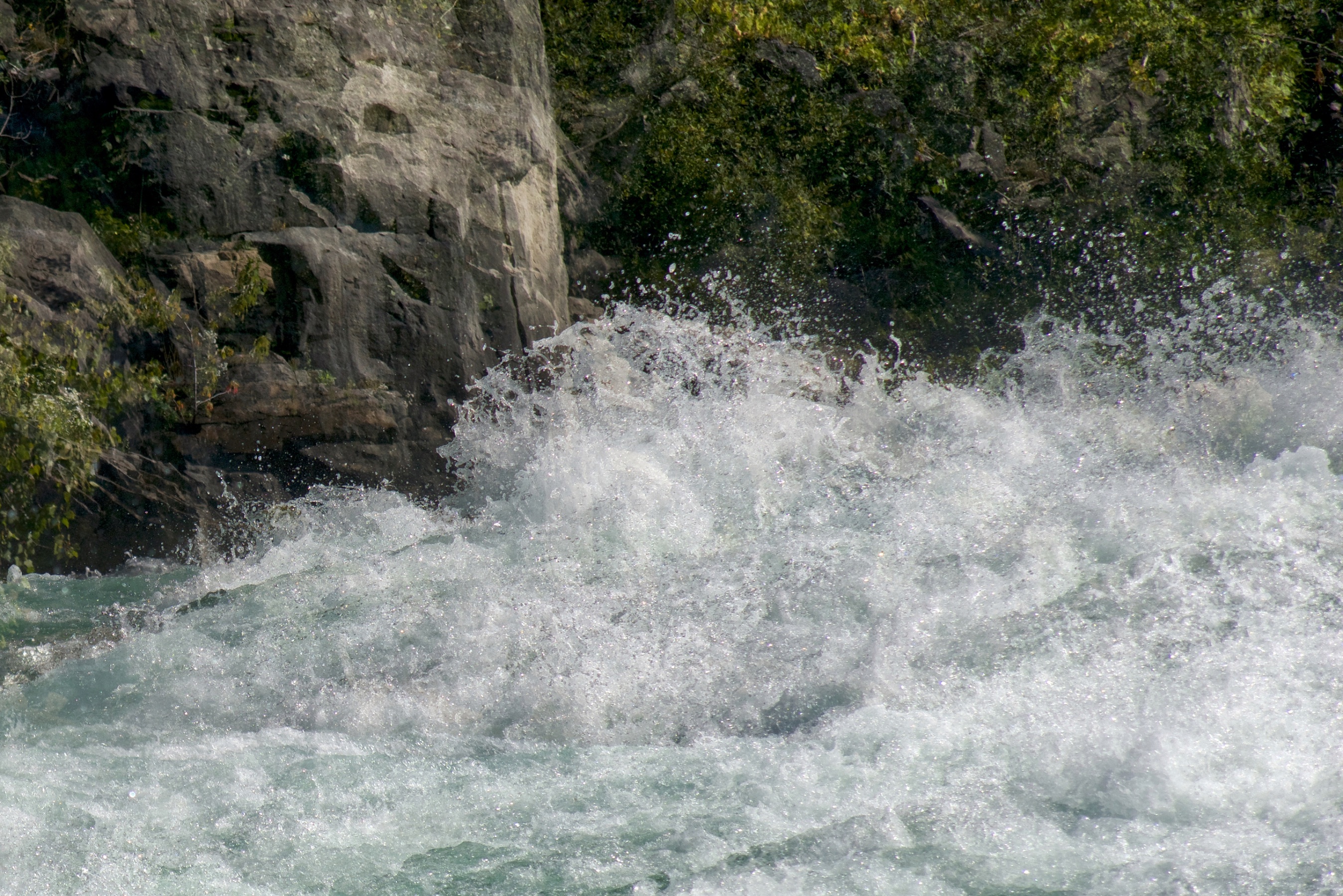 Niagara-15a_QLT6685- detail 2